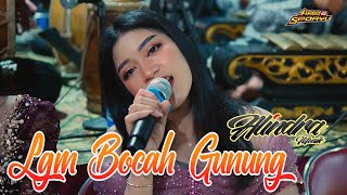 LANGGAM BOCAH GUNUNG - CAMPURSARI ALINDRA MUSIK SRAGEN - ARGOSEDAYU - RANZPRO AUDIO