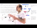 Recombinant DNA Technology Concepts