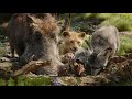 Hakuna Matata and The Lion King
