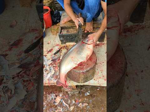 Wow!! Countryside Big Pangas Fish Cleaning & Cutting Expert😱😳 #shorts