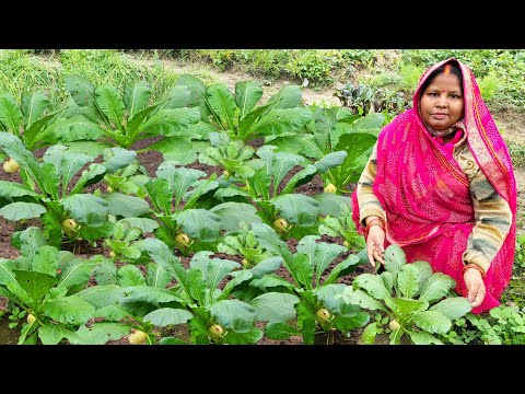 मात्र दो मूली से बनाए पूरे परिवार के स्वादिष्ट सब्जी जिसे बच्चे मांगकर खाएंगे  Mooli Besan ki Sabji