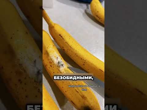 Выбросьте этот банан ‼️ 😱