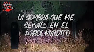 Me Señaló desde el Árbol Maldito y Desapareció… (RECOPILACIÓN)