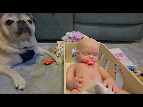 BIG, New Silicone Baby Girl from Babeside