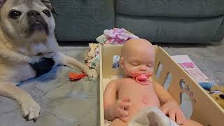 BIG, New Silicone Baby Girl from Babeside