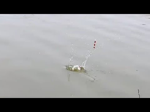 unique Fishing 🎣 in Krishna RIVER FISHER MAN Catching By Rohu Fishes SINGLE HOOK FISHING