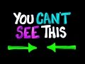 Understanding Visual Perception and Illusions