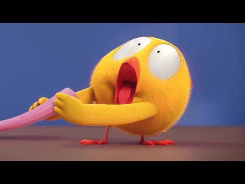 Chicky's being silly! | Where's Chicky? | Cartoon Collection in English for Kids | New episodes HD