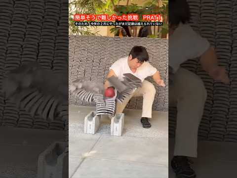 【武道・武術】今までやったチャレンジで簡単そうに見えて結構難しかったやつ３選！PART１！　#aikido ＃karate #martial #武道 #空手＃合気道＃筋トレ#selfdefens