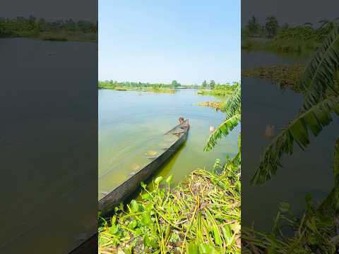নৌকা ডুবে গেছে☹️ #village #viralvideo #fishing #viralvideo #shortvideo #shorts