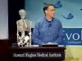 Darwin's Theories and Scientific Debates