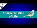 Exploring the Seven Characteristics of Life