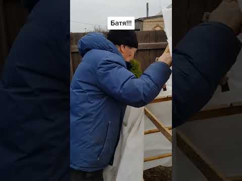 Роднее конечно нет!!!Папка мой!!!