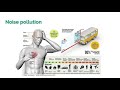 Health Effects of Environmental Pollutants