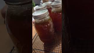 From The Bones #2025 #seasonal #bonebroth #canning