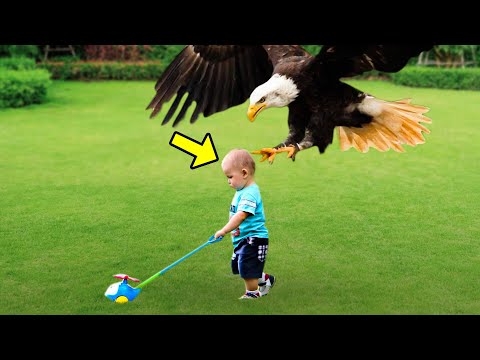 Eagle Suddenly Snatches This Little Boy, But The Reason Behind It Surprised Everyone!