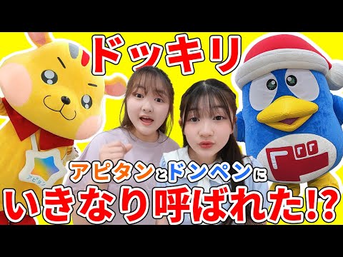 公式コラボ【ドッキリ】ドン・キホーテに行ったら～いきなり大人数に囲まれた - はねまりチャンネル