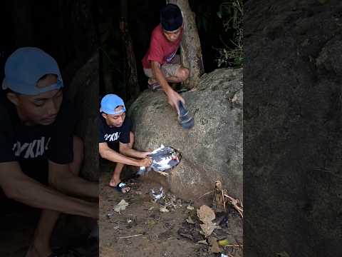 Banyak anakannya yang keluar #viralshorts #trendingshorts #birds