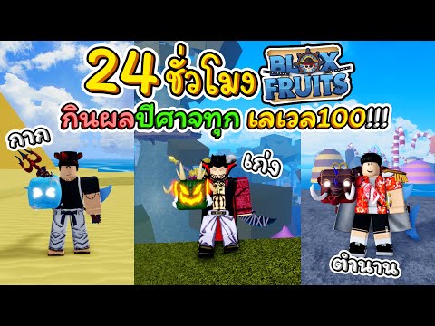 🎲🍈24ชั่วโมงใน BloxFruits Ep.7 ผมจะกินผลปีศาจฟามทุก เวล100 จนเวลตัน(0-2550) !!! 🎲🏴‍☠️🦖