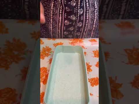 Holi theme lunchbox | paneer sabji | Tiffin recipes #shorts #brightpad #LetsPlayHoli