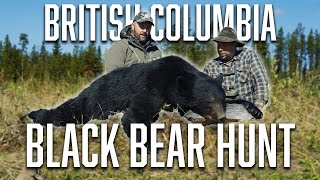 Black Bear Hunt in British Columbia