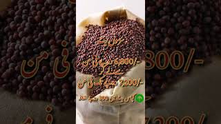 Cotton Rate Today | Wheat Rate | Sarsoon Rate| 12 October #2024 #cotton #wheat #viralvideo