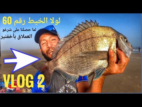 إصطياد أكبر أسماك شرغو العملاقة بأخفنير   (vlog 2) xxxl 2020