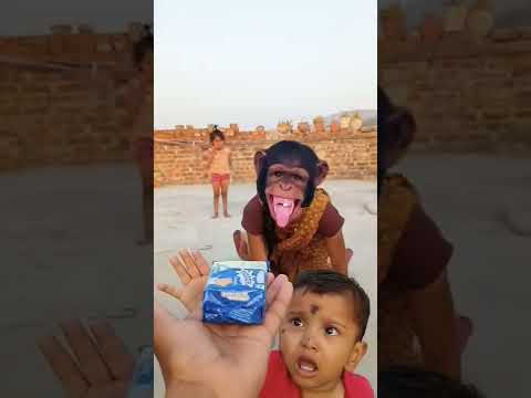 नानी तेरी मोरनी को मोर ले गए 😈🔥🔥🔥💥💥