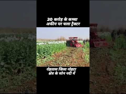 रोहतास जिला में मिला करोङो का अफीम #rohtas #afimkisan #viralvideo