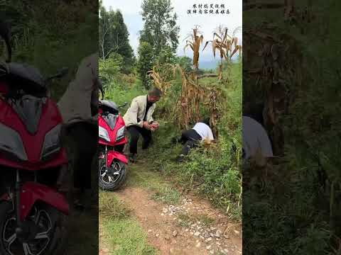 美女少妇在路边干农活，被男子偷钱后并且一脚踹倒，结果最后自己的电动车被骑走了#亲子 #亲情 #家庭 #农村生活 #正能量 #善恶就在一念之间