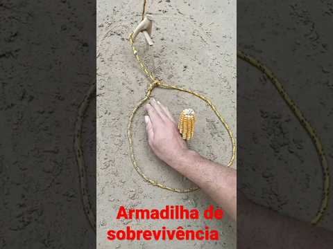 Armadilha de sobrevivência para pegar animais capivara javali paca tatu #shorts #caças.