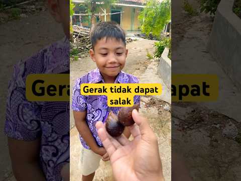 YANG BERGERAK TIDAK DAPAT SALAK #shorts #viralvideo #trending