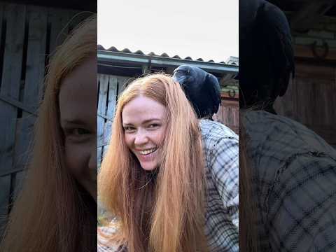 ЧТО НЕ ДЕНЬ, ТО СОБЫТИЯ НА ФЕРМЕ