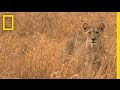 Conservation Efforts in Tanzania