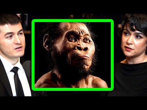 dati/mainpagelinks/Consciousness chemistry origin universe vulnerable 