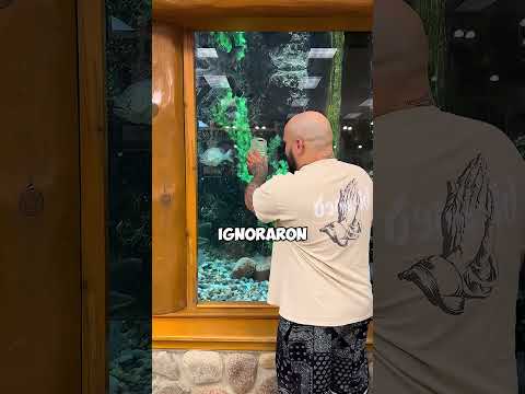 Este señuelo volvió locos a todos los peces🐟