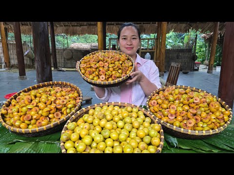 Harvesting & Processing Plum - Goes To Market Sell On a Rainy Day | Ly Thi Ca