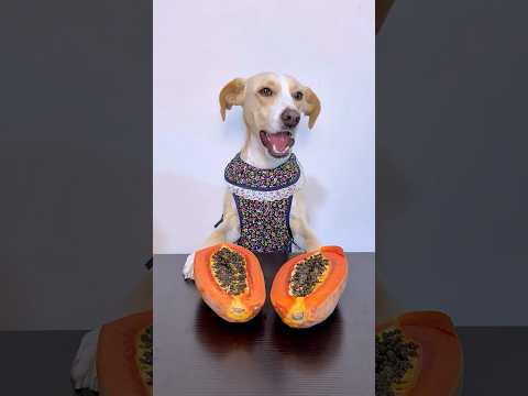 Se pudrió la papaya de Mamá Benita 😔