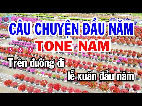 Karaoke Câu Chuyện Đầu Năm Tone Nam ( Am ) Beat Mới Nhạc Xuân Mới 2025