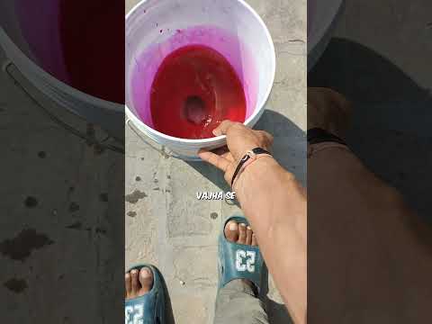 holi colour Prank with family