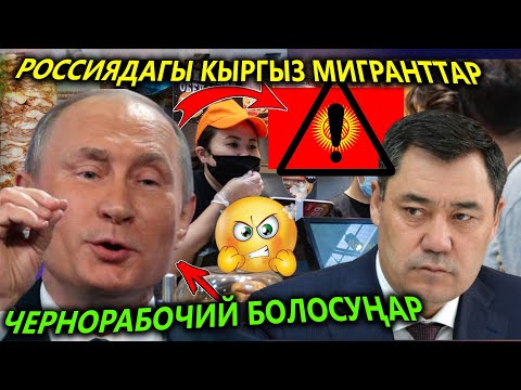 СРОЧНО! Путин МИГРАНТТАРГА иштөөгө ТЫЮ салып😱 ЖАПАРОВ жооп берди!