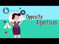 Opposites Vocabulary Challenge