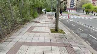 🏆⚽ EL BETIS VISITA EL SADAR SOÑANDO CON LA QUINTA PLAZA | DIRECTO DESDE EL ESTADIO