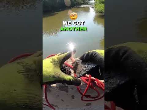 Multiple License Plates Found Magnet Fishing