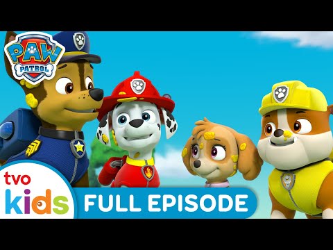 Pups in a Jam 🍯 | 🐾 PAW PATROL 🐶 | Rescue Pups Help Adventure Bay 🏡 | Season 3 | TVOkids