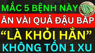Bác Sĩ Dặn Mắc 5 BỆNH NÀY Chỉ Cần Ăn VÀI QUẢ ĐẬU BẮP Là Khỏi Hẳn Không Tốn 1 Xu "Khoẻ Đủ Đường"