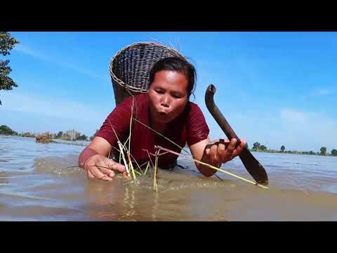 survival in the rainforest-Found egg duck with grylloidea & cooking ​​​​-Eating delicious HD