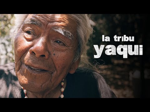 LA TRIBU YAQUI | Tata Kachora (Don Juan Matus de Carlos Castaneda)