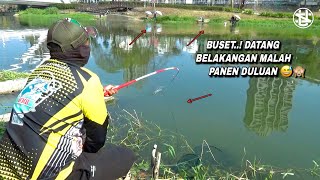 Asli idaman ini..! Mancing sungai liaran kaya mancing di kolam