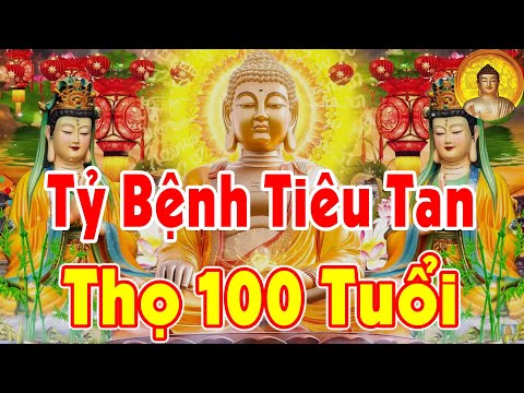 Nghe Kinh Này Chữa Lành Ngay Bệnh Tật Khổ Đau – Sống Cuộc Sống Hạnh Phúc,Trăm Đời Tài Lộc Ùn Kéo Đến